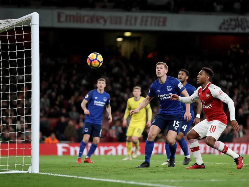 供了新的平 供了新的平